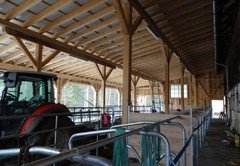 DSC00800 - Kopie DSC00800 - Kopie