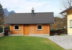 IMG_0687 IMG_0687
