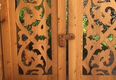 IMG_1237 IMG_1237