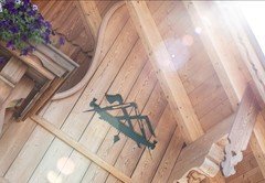 MIV_1681 MIV_1681