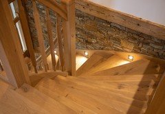 MIV_1738 MIV_1738
