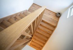MIV_1806 MIV_1806